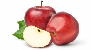 elma hakkında bilgiler